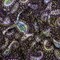 1 Yard Black Green and Purple Paisley and Leaves Leafy Life Stretch Cotton and Viscose Sateen